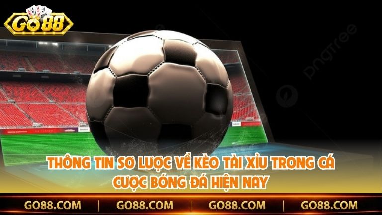 Thông tin sơ lược về kèo tài xỉu trong cá cược bóng đá hiện nay